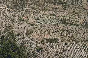 Stone House San Pelegrin