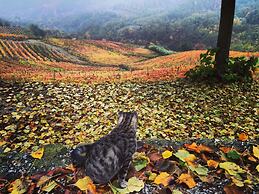 Cascina Bertolotto Wine Resort.