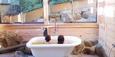 Shirahama Meiji Villa