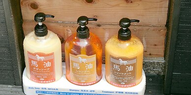 Shirahama Meiji Villa