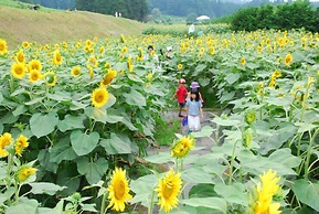 kongoji syukubo seihoin