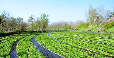 kongoji syukubo seihoin