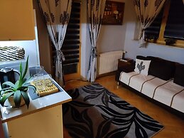 Willa Czajka - Widokowe Apartamenty