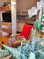 Willa Czajka - Widokowe Apartamenty