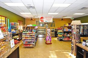 Paradise Palms IHR 3029