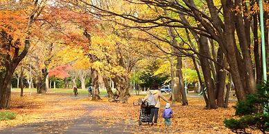 Lestel Maru - Hostel