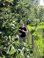 Halmstad Gårdshotell