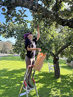 Halmstad Gårdshotell