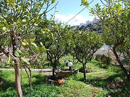 Quiet Place With Efflorescent Garden