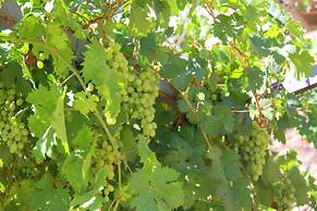 Shurooq Shams Hotel & Tours By Sunrise