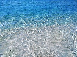 Apartments Palm Garden