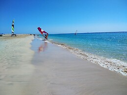 Apartments Palm Garden