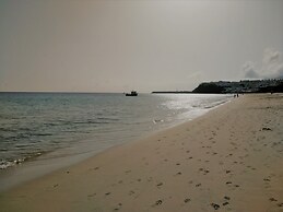 Apartments Palm Garden
