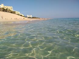Apartments Palm Garden