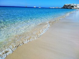 Apartments Palm Garden