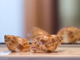 Manoleas Villas - Apartment 7