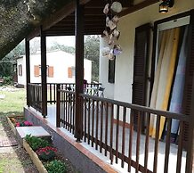 The Olive Garden House, on the North Coast of Corfu