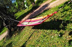 The Olive Garden House, on the North Coast of Corfu