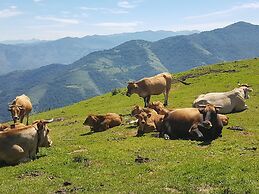 Casa Rural La Matuca, Senda Del Oso, Asturias