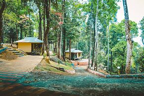 Vythiri Wild Forest Resort