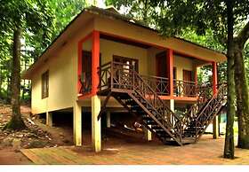 Vythiri Wild Forest Resort