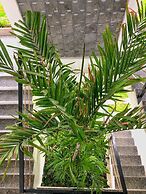 The Swell - Hostel - Adults Only