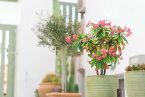 Anthos Apartments Paros