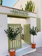 Anthos Apartments Paros