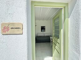 Anthos Apartments Paros