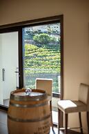 MW Douro Wine & Spa