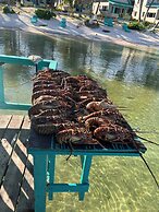 Tranquility Bay Resort