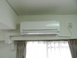 Weekly Green In Namba