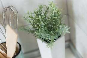 Cin & Co Central Apartments