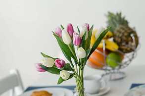 Cin & Co Central Apartments