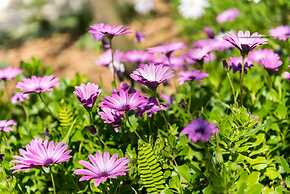 Apartments Šestanović