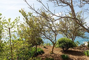 Apartments Šestanović