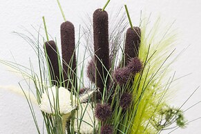 Apartments Matana Chano