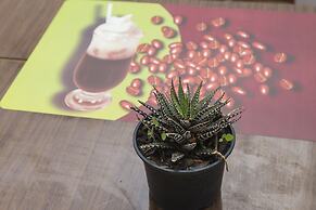 Apartments Matana Chano