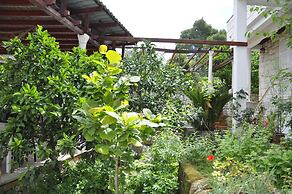 Guest House Matana Pomena