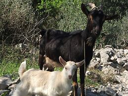 Guest House Matana Pomena