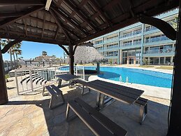 Modern Linda Vista Condos