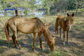 Yuhibuhi Forest Resort