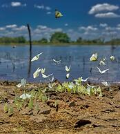 Yuhibuhi Forest Resort