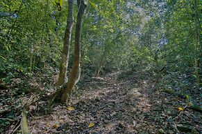 Yuhibuhi Forest Resort