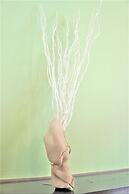 Spacious Apartment Sunshine City