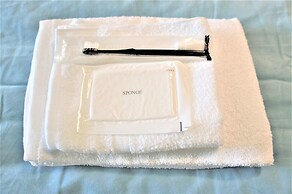 Spacious Apartment Sunshine City