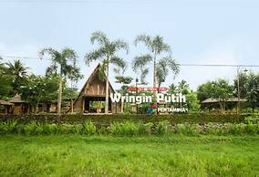 Balkondes Wringinputih