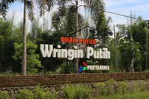 Balkondes Wringinputih