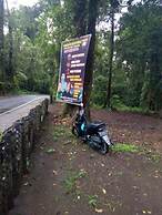 Ijen Volcano Guesthouse