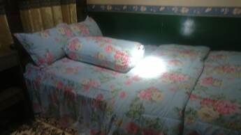 Homestay Arya Mangunan